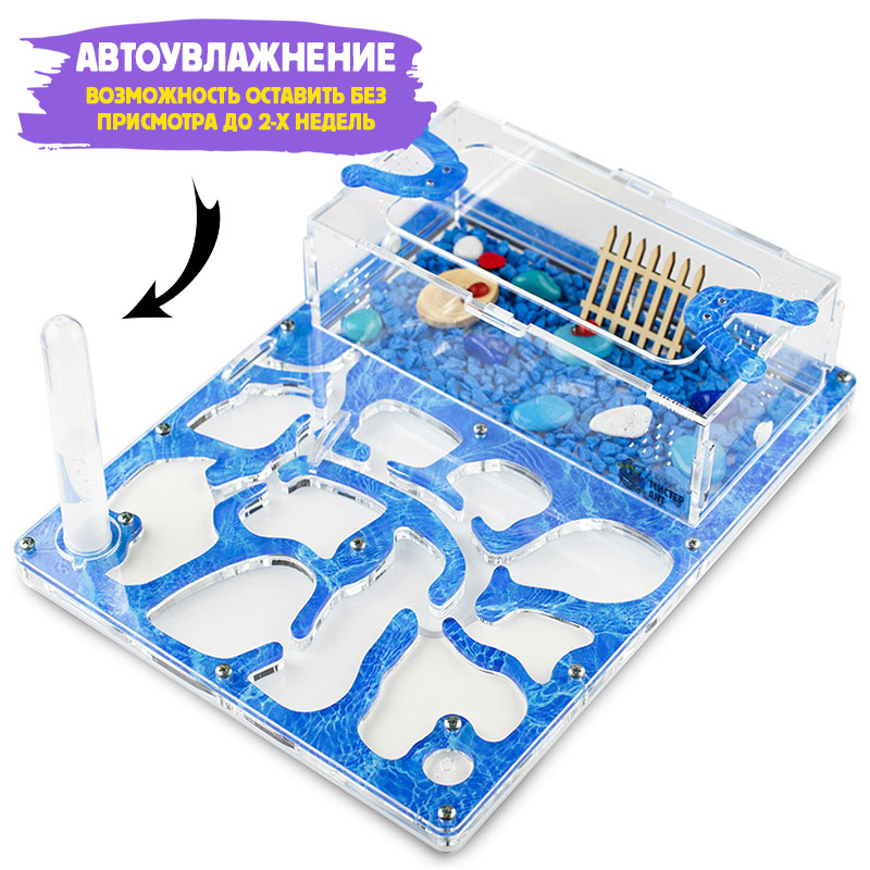 Муравьиная ферма Медиум “Аква” (ПОЛНЫЙ КОМПЛЕКТ) Муравьиная ферма Медиум “Аква” (ПОЛНЫЙ КОМПЛЕКТ)