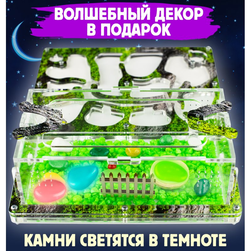 Формикарий Медиум "Горный мох" Формикарий Медиум "Горный мох"