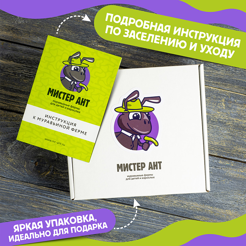 Муравьиная ферма Мини "Зеленый лист" (ПОЛНЫЙ КОМПЛЕКТ) Муравьиная ферма Мини "Зеленый лист" (ПОЛНЫЙ КОМПЛЕКТ)