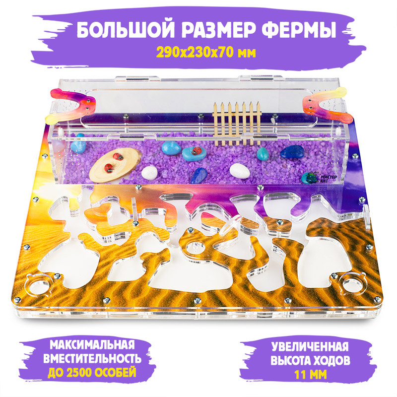 Муравьиная ферма Макси "Закат в пустыне" (ПОЛНЫЙ КОМПЛЕКТ) Муравьиная ферма Макси "Закат в пустыне" (ПОЛНЫЙ КОМПЛЕКТ)