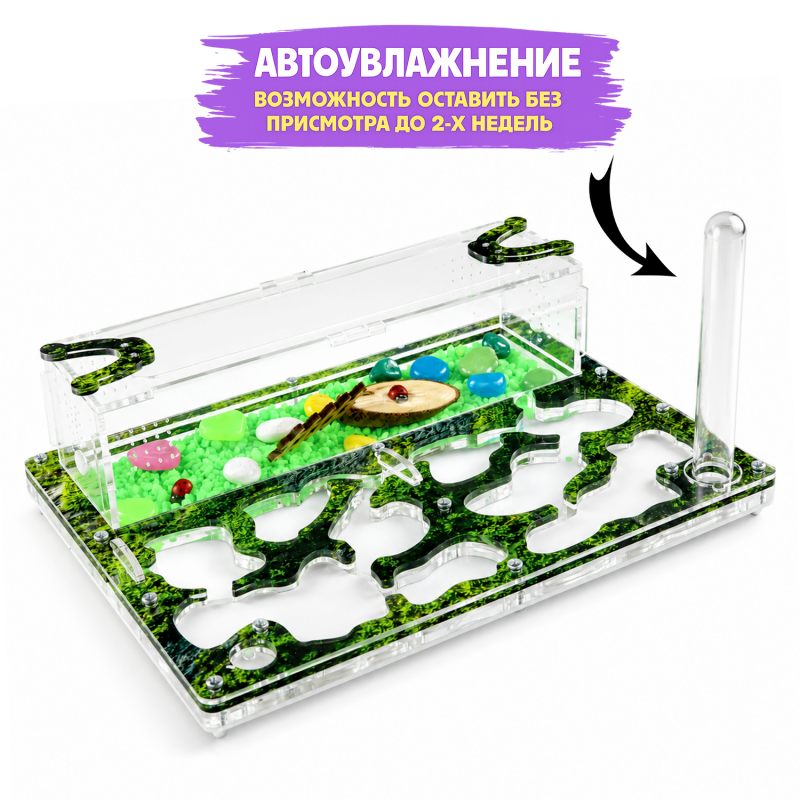 Муравьиная ферма Медиум “Горный мох” (ПОЛНЫЙ КОМПЛЕКТ) Муравьиная ферма Медиум “Горный мох” (ПОЛНЫЙ КОМПЛЕКТ)